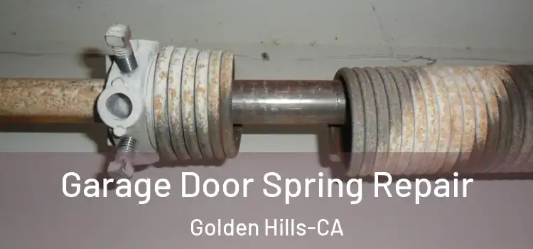 Garage Door Spring Repair Golden Hills-CA